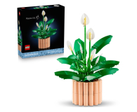 LEGO BOTANICALS 11504 Skrzydłokwiat - 1473410 - zdjęcie 2